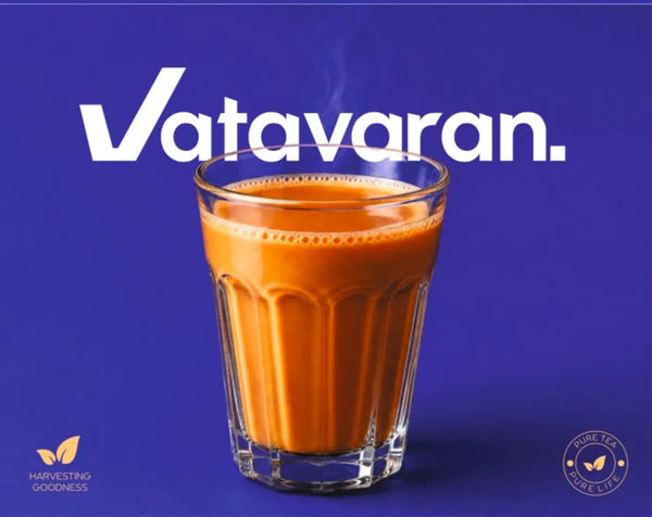 Vatavaran Trail Pack