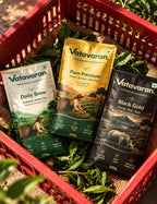 Vatavaran Trail Pack