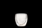 Vatavaran Double wall Tumbler